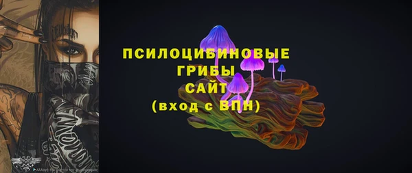 тгк Белокуриха