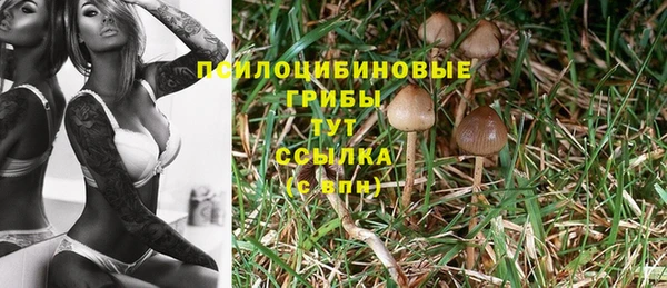 кокаин перу Беломорск