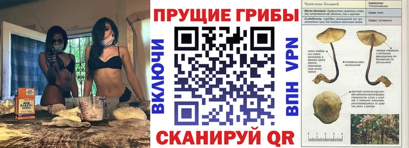 Галлюциногенные грибы Magic Shrooms  наркошоп  Мезень 
